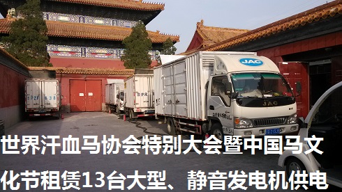 世界汗血馬協(xié)會特別大會暨中國馬文化節(jié)租賃13臺大型、靜音發(fā)電機供電（圖）